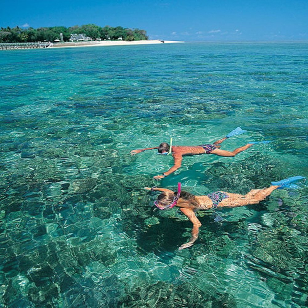 Snorkeling & Swimming with Dolphins at Mnemba Atoll