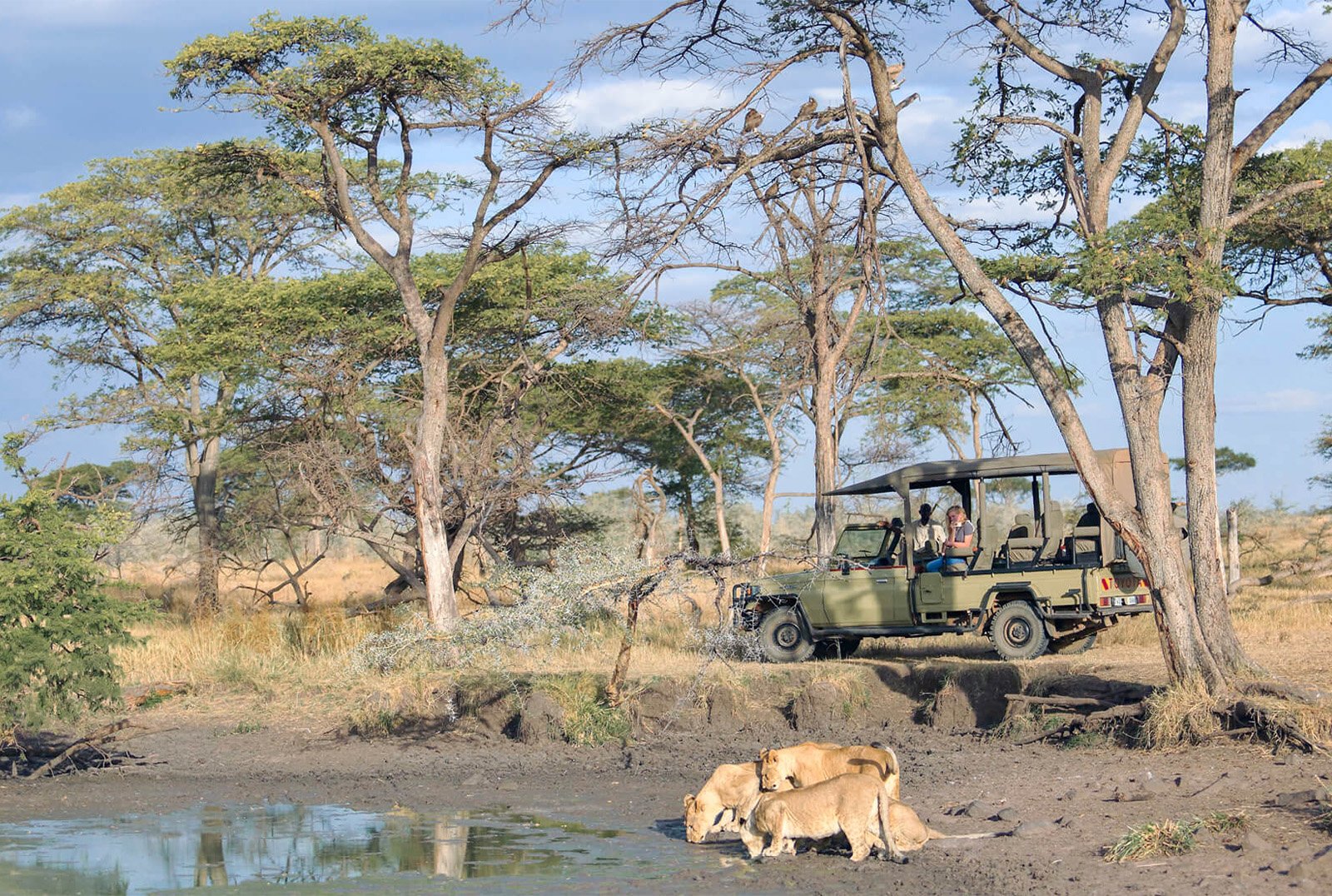 Ngorongoro Crater